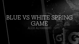 Alex Alvarado's highlights Blue vs White Spring Game