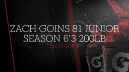 Zach Goins 81 Junior Season 6'3 200lb