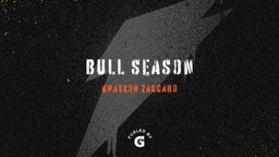 bull season 