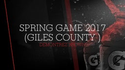 Demontrez Brown's highlights Spring game 2017 (Giles County ) 