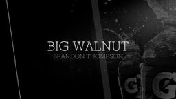 Brandon Thompson's highlights Big Walnut