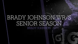 Brady Johnson WR/S Senior Season