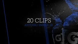 20 clips