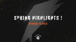 Spring highlights !