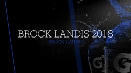 Brock Landis 2018