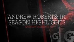 Andrew Roberts: Jr. Season Highlights