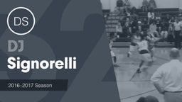 Season Recap: DJ Signorelli 2016-2017