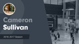 Season Recap: Cameron Sullivan 2016-2017