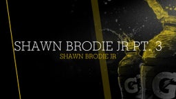 Shawn Brodie Jr pt. 3 