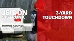 3-yard Touchdown vs Telfair County 