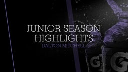 Junior season highlights 