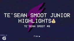 Te'Sean Smoot Junior Highlights??