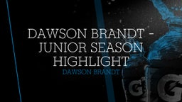 Dawson Brandt - Junior Season Highlight