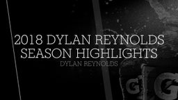 2018 Dylan Reynolds Season Highlights