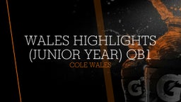 Wales Highlights (Junior Year) QB1 