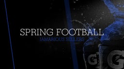 Jamarious Sellers's highlights Spring Football