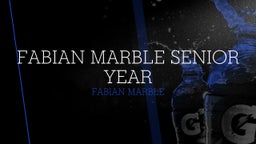 fabian marble senior year