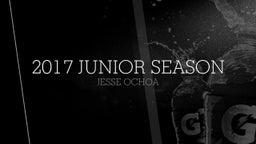 2017 Junior Season