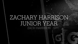 Zachary harrison Junior Year