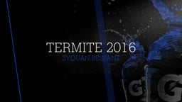 Termite 2016