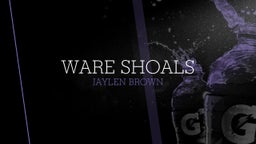 Jaylen Brown's highlights Ware Shoals