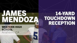 14-yard Touchdown Reception vs Godinez 