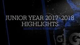Junior year 2017-2018 highlights
