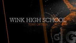 Tony Ortega's highlights Wink High School
