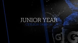 Junior Year