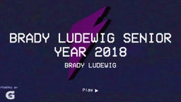 Brady Ludewig Senior Year 2018