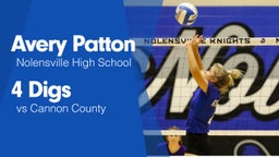 4 Digs vs Cannon County