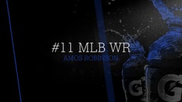 Amos Robinson's highlights #11 MLB WR