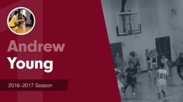 Season Recap: Andrew Young 2016-2017