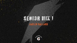 SENIOR MIX 1