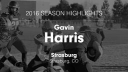 2016 Season Highlights