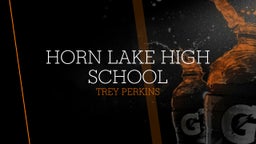 Trey Perkins's highlights Horn Lake High School