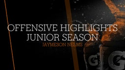Offensive Highlights Junior season