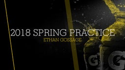 Ethan Gossage's highlights 2018 Spring Practice 