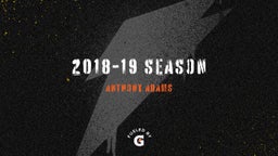 2018-19 season