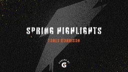 spring highlights