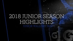 2018 Junior Season Highlights