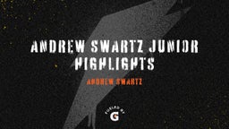 Andrew Swartz Junior Highlights