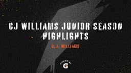  CJ Williams Junior Season Highlights 