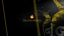 Dillon Harris's highlights ??