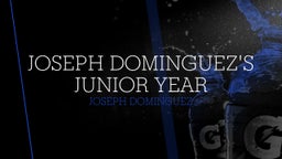 Joseph Dominguez's Junior Year