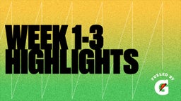 WEEK 1-3 HIGHLIGHTS 