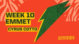 Week 10 Emmet 