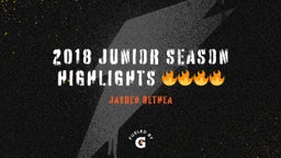 2018 Junior Season Highlights ????????