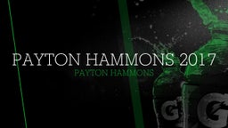 Payton Hammons 2017
