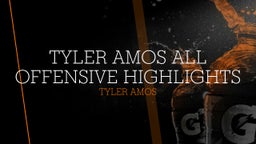 Tyler Amos All Offensive Highlights 
